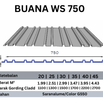 BUANA WS750 0,20MM AZ100